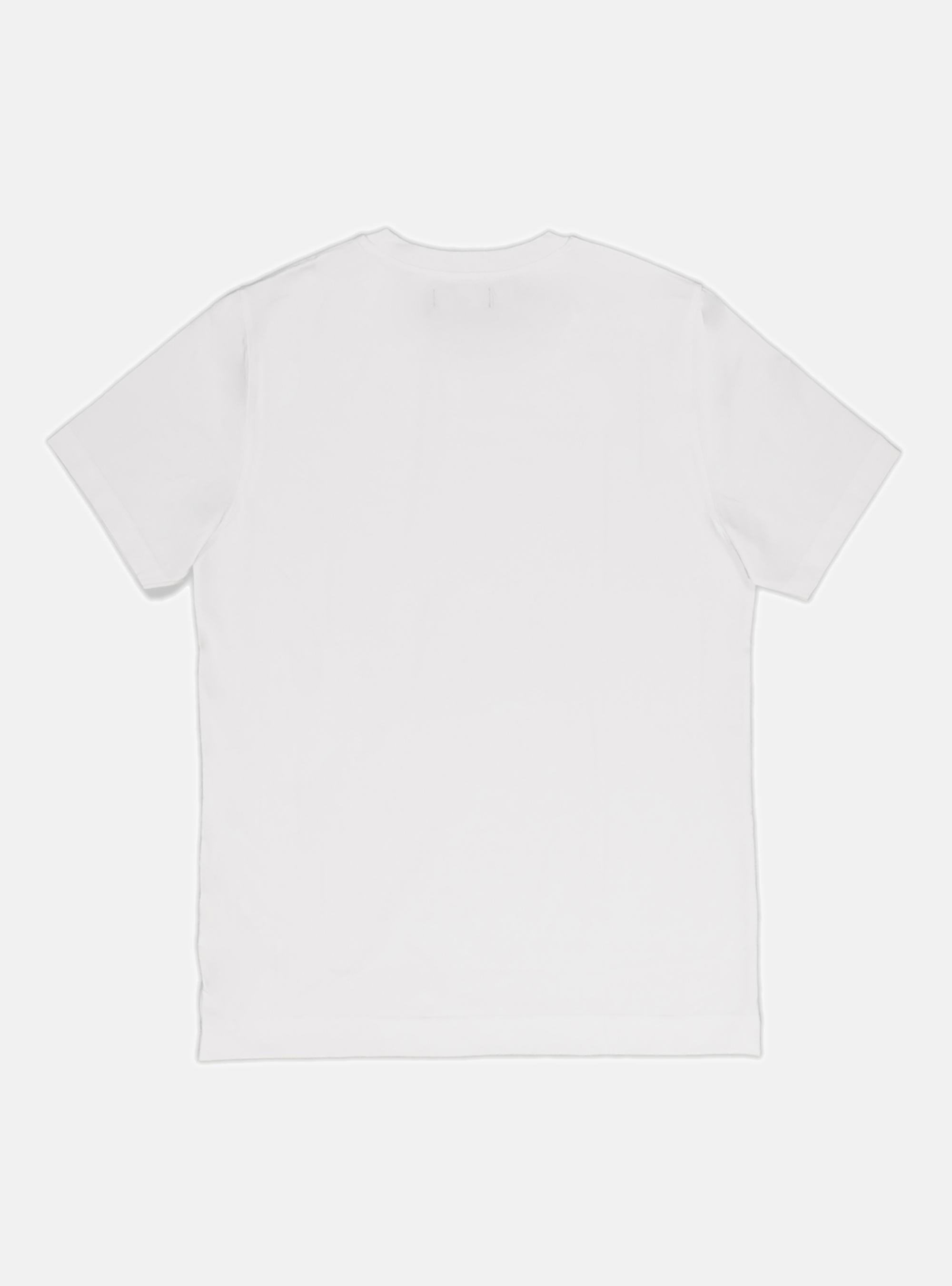 Tshirt mezza manica in jersey di cotone, BIANCO