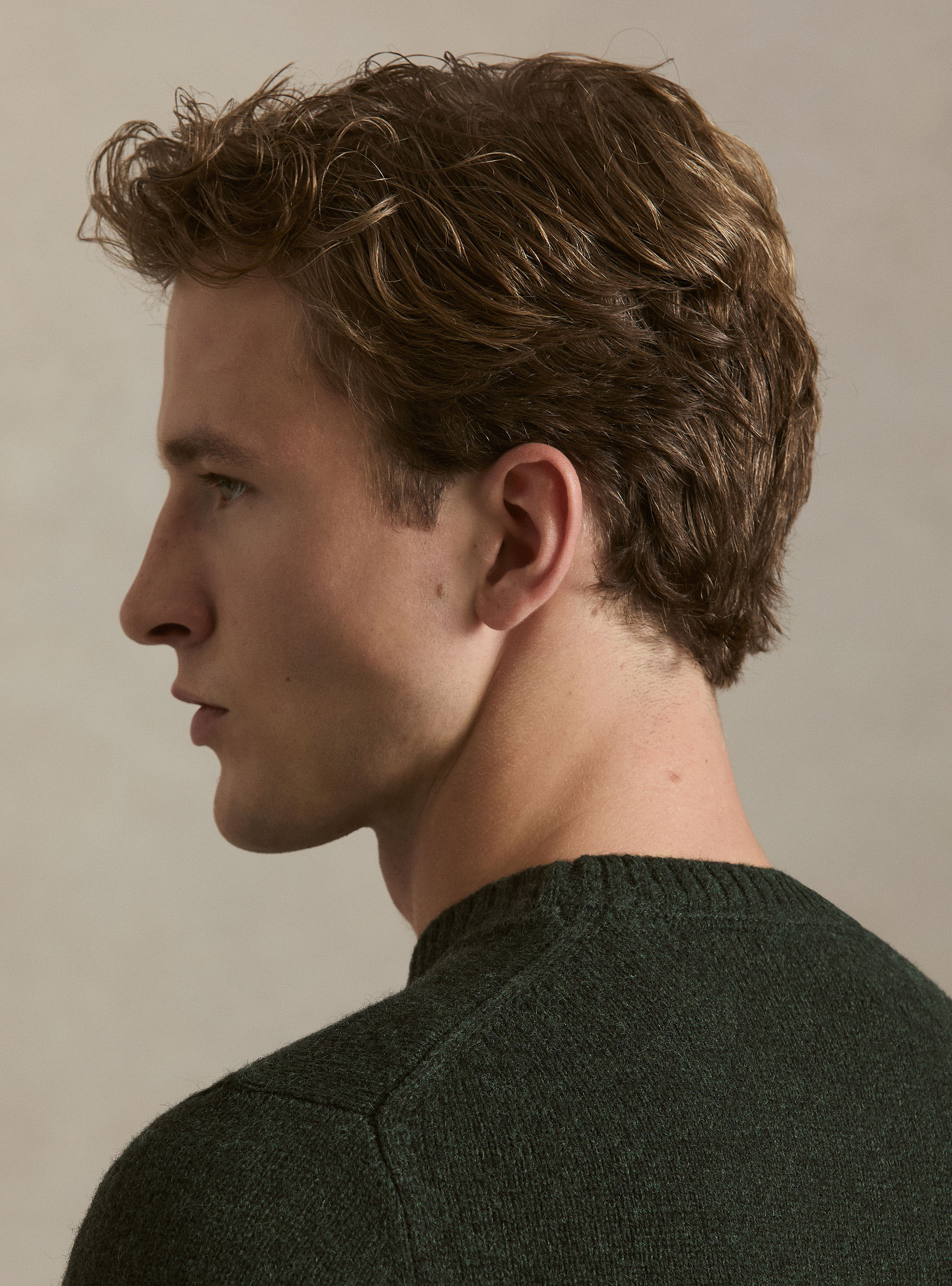 Maglia girocollo in pura lana shetland, VERDE