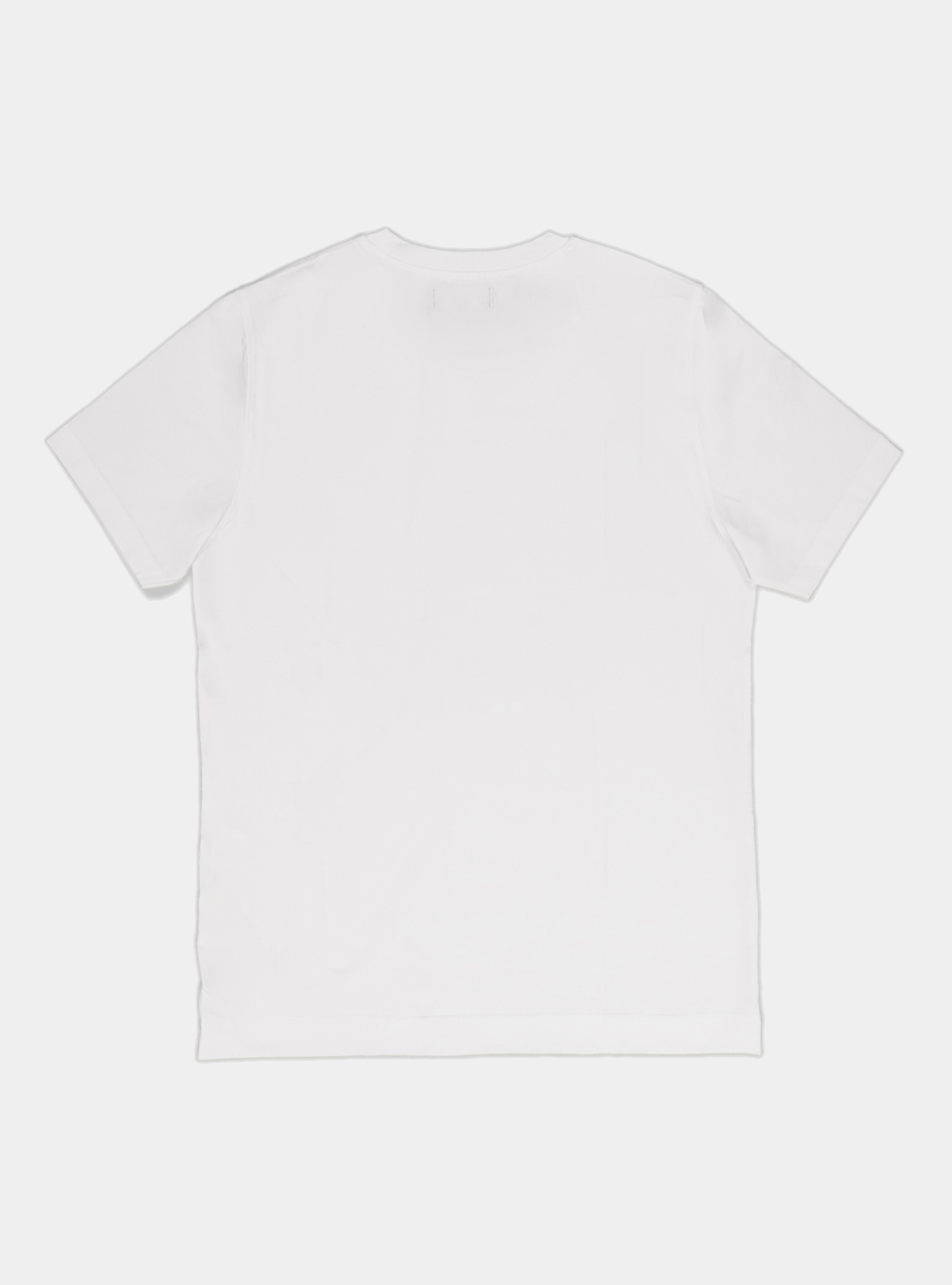 Tshirt in jersey di cotone tinta unita, BIANCO