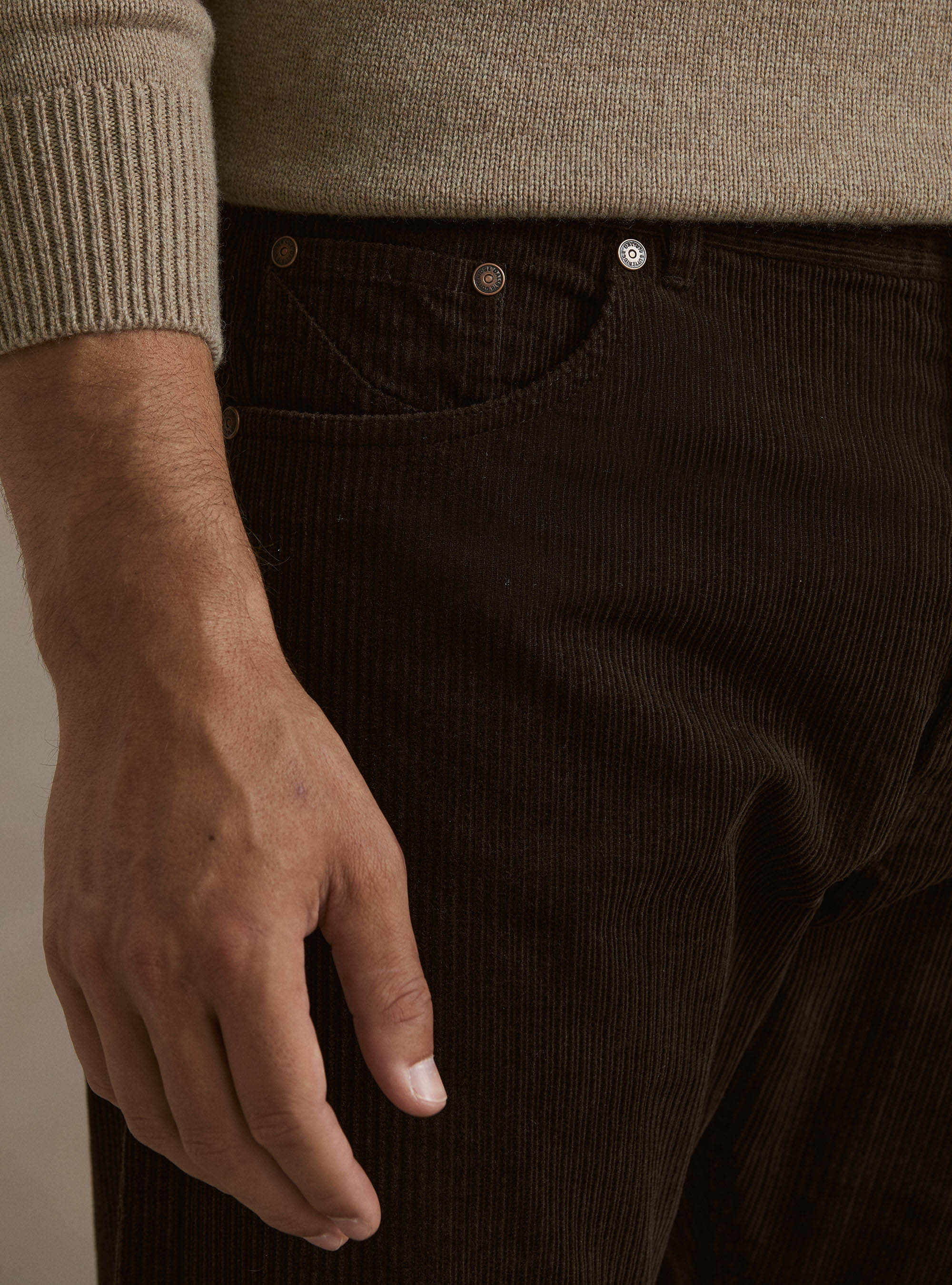 Pantaloni 5 tasche in velluto, MARRONE
