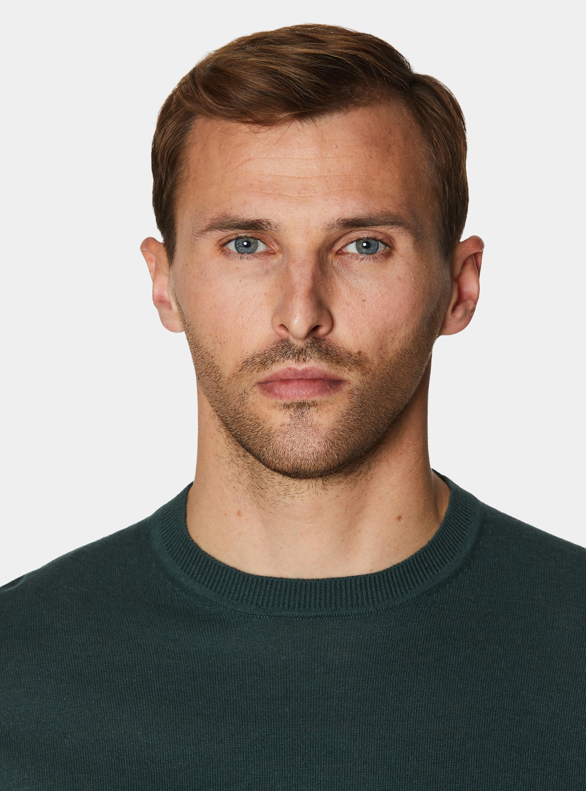 Maglia girocollo in cotone seta e cashmere, VERDE MUSCHIO 0615C