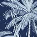 BLU NAVY