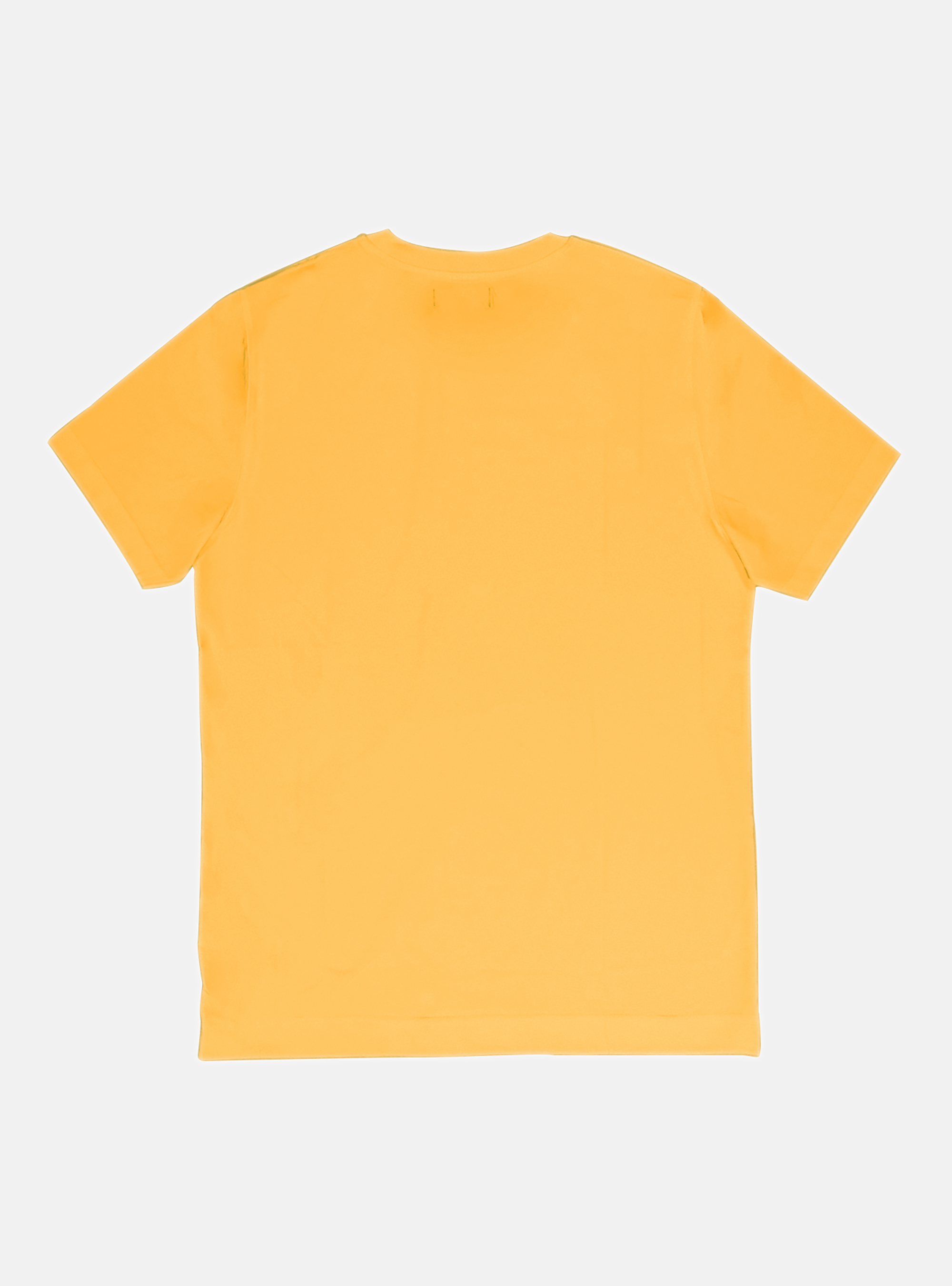 Tshirt mezza manica in jersey di cotone, GIALLO